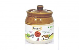 Favor8 Ginger Pickle   Pack  350 grams